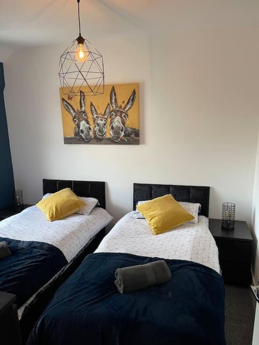 Luxury Accommodation. 월러시 외부 사진