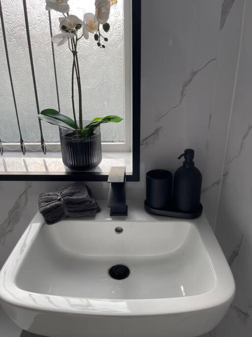 Luxury Accommodation. 월러시 외부 사진